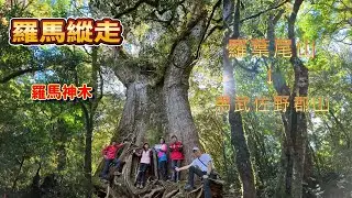 羅馬縱走 羅葉尾山-馬武佐野郡山