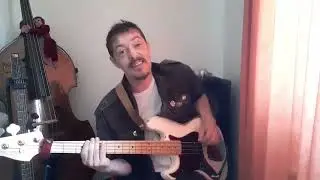 Happy Days TV Theme - Bass Cover