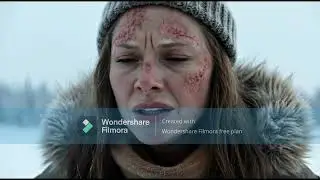 Widow Saves a Mother Dog and Her Pup | Surviving &ndash;71&deg;C Siberia