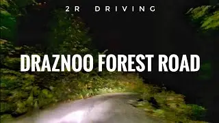 Haunted Night Drive: Journey Through Drazno's Dark Forest in Golestan IRAN 2023