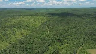 1552 County Road 632, Mentone, AL - Angela Harp, Alabama Living Real Estate