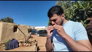 Le RIF tout en vert au Maroc 🇲🇦