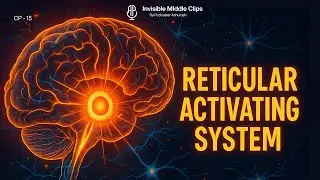 Live Subconscious Reprogramming, RAS Activation through Visualization & Belief system| Ram Verma