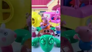 TURTLE SATISFYING ASMR RELAXING COM SORTE #shortvideo #shortsfeed 🍀