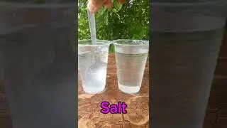 Salt Water vs Sugar Water with shampoo easy Experiment