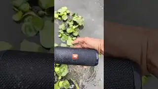 green 🌾 river jbl waterproof bass testing