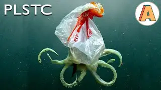 You will never look at plastic in the same way | PLSTC - Award-Winning Animation by Laen Sanches