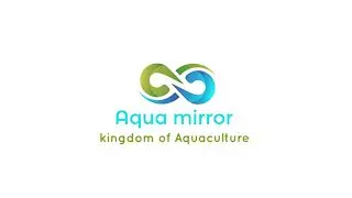 Aqua Mirror