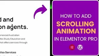 How to Add Scrolling Animation In Elementor