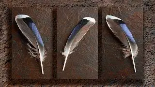 Panel of three images or Triptych