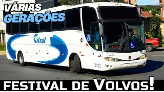 UM VOLVO ATRÁS DO OUTRO!! MOVIMENTO DE ÔNIBUS DIFERENTES NA RODOVIÁRIA DE GRAMADO
