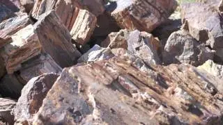 Ornamental Stone Ad