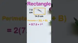 Find Perimeter of Rectangle | #shorts #shortvideo #perimeter  #geometry