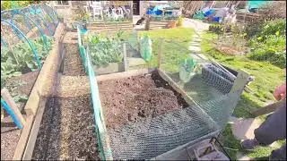 Shed Wars Global Gardening 22G How I Grow parsnips & more #shedwarsglobalgardening  #shedwars