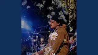 Wallflower (Live at Lowerdeck Sessions)