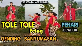 Tole tole pelog Gending banyumasan asli clip video  ( Dewi lia )