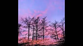 [2023] 633397 - life changer 2
