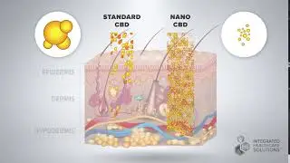 BioNan-X CBD Transdermal Cream vs. Conventional CBD Animation