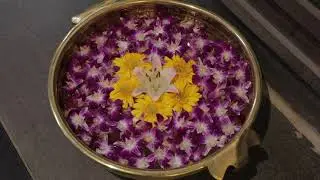 Elvis Wellness Spa & Salon-Kothrud, Pune |Absolute professional and Luxury Spa | Best Spa in Kothrud