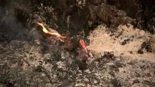 Digital Short: Polk County brush fire about 80% contained