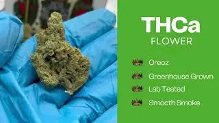 THCA King Oreoz High THCA Flower
