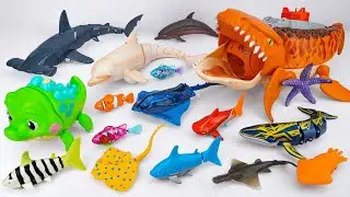 [Toy asmr]Mosasaurus & RC Shark & Baby Shark &Zuru Robo Alive Aquarium ASMR Satisfying with Unboxing