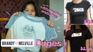 NEWEST Brandy Melville collection dupes haul + other site options