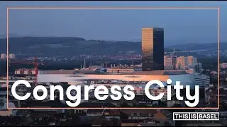 Amazing business trip to Basel [Switzerland]