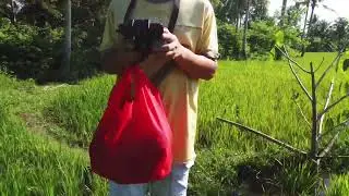 Low flying drone video. April 23, 2023