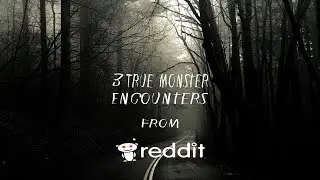 3 True Monster Encounters: From reddit