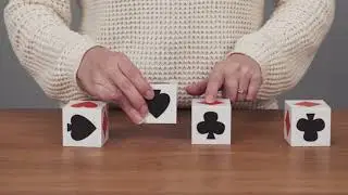 PuzzleBlocks&trade; set (card trick)