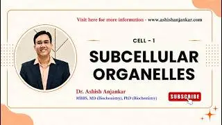 Cell  - 1 - Subcellular organelles