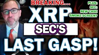 MAJOR RIPPLE XRP UPDATE! SEC's LAST GASP Before Settlement? Judge To Review KEY DOCS! #xrp