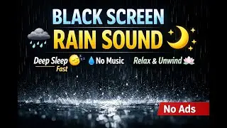 Rain Sound LIVE for Sleeping 😴 | No Music | Black Screen