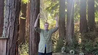 Qi Gong with Lewis Regen set for happiness and relaxation learned from Grandmaster Zhou Ting Jue