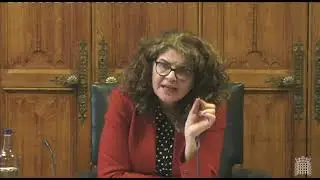 Select Committee Home Affairs former Independent Chief Inspector of Borders & Immigration 27/02/2024