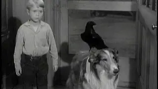 Lassie - Episode #140 - 