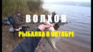 РЫБАЛКА НА ВОЛХОВЕ. ЛОВЛЯ ЛЕЩА НА ФИДЕР НА РЕКЕ ВОЛХОВ.