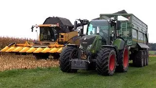 Maisdreschen 2017 | Milchvieh Betrieb Nibler | New Holland CR 9080 | Fendt 828,724
