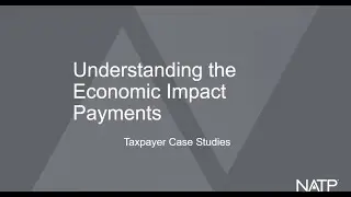 Understanding the Economic Impact Payments