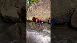 biggest fish searching, fish, fishing,  fish catching, Fish Hunting, YouTube short video#shorts