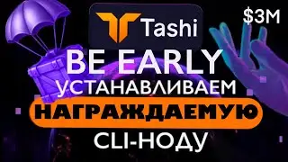 Установка награждаемой CLI-ноды TASHI NETWORK на сервер | Пассивный фарм дропа