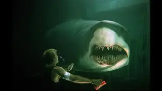 Top 10 Shark Movies!