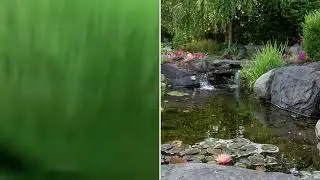 Froggys pond adventures theme song