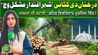 Tree Cutting In Islamabad | Shocking Reason Reveled | Nida Mumtaz | Suno Punjab Vlog | EP 04