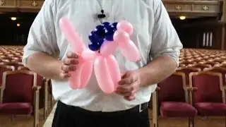 Best Balloons for a Child's Party | Balloon Animals