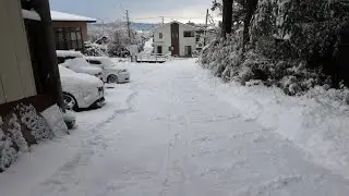2026年1月9日(金) 雪が降りましたよ