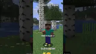 What Is The Command To Find An Old Growth Birch Forest In Minecraft?!