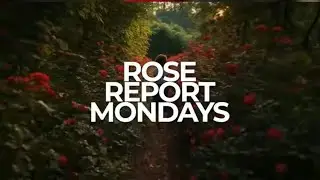 Rose Report Monday Trailer 2026