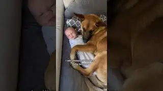 Dogs love babies in their own way #love #lovebaby #baby #lovequates #goodbaby